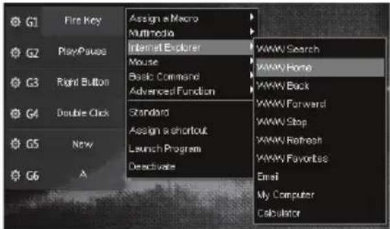Qilive Q.8311 - Internet Explorer - 1