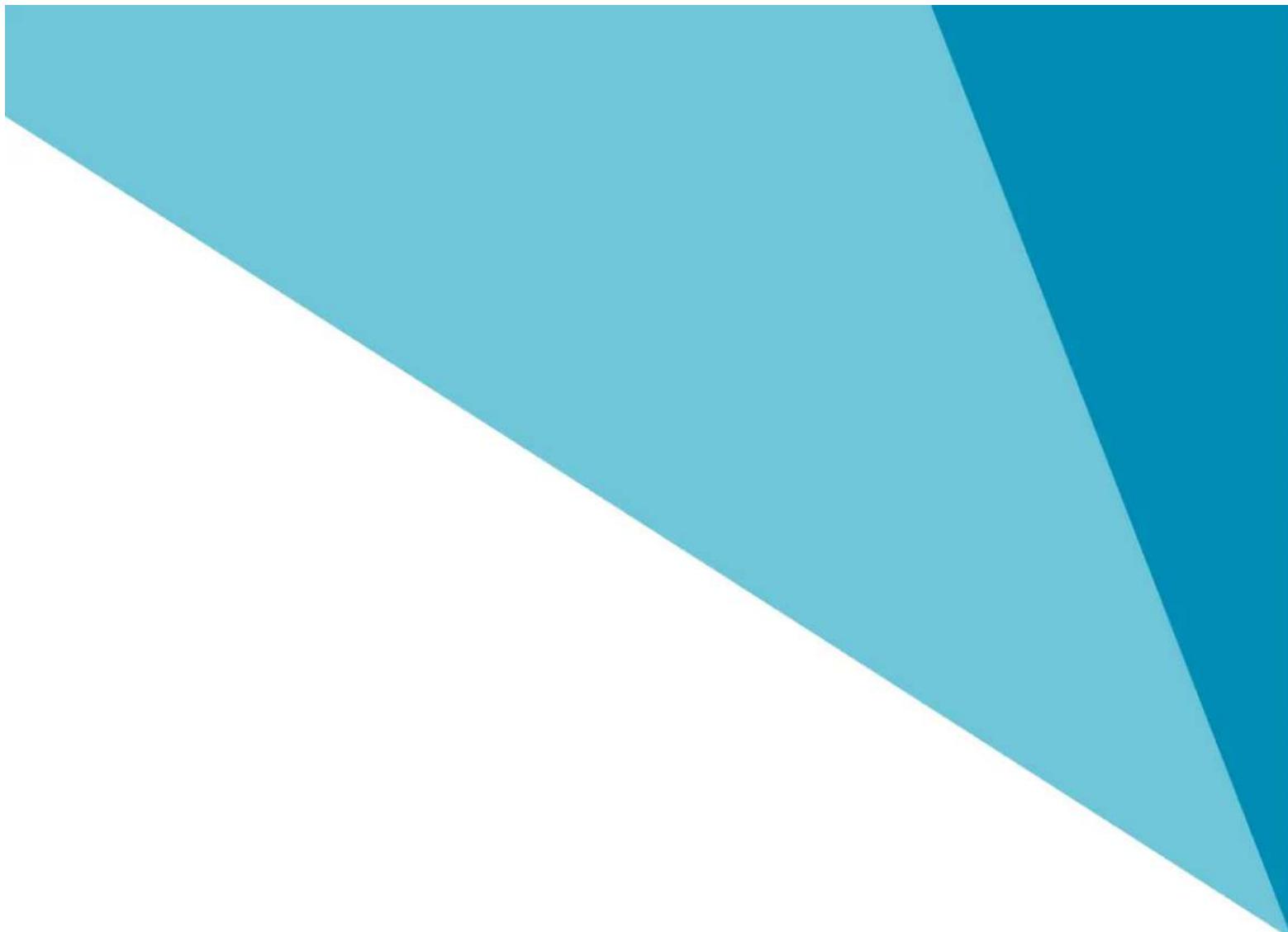 Skandika Morpheus SF1810 - Notizen / Notes - 2