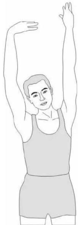 Skandika Morpheus SF1810 - Stretching - 1