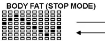 Skandika Morpheus SF1810 - Die Körperfettmessung - 1