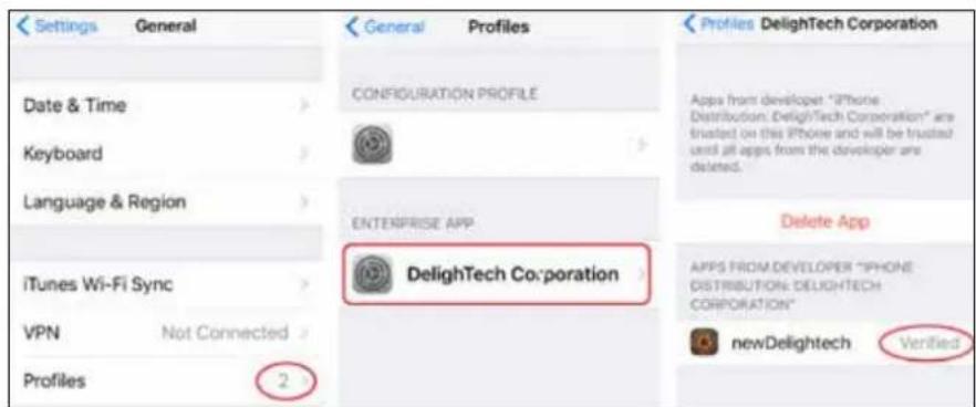 Skandika Morpheus SF1810 - Compatibility - 3