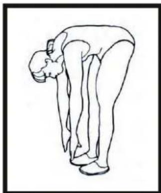 Skandika Theseus SF1620 - Exercise 4: Stretching the back side parts of the legs - 3