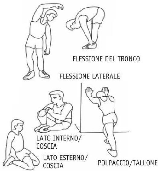 FLESSIONE DEL TRONCO FLESSIONE LATERALE LATO INTERNO/ COSCIA LATO ESTERNO/ COSCIA POLPACCIO/TALLONE