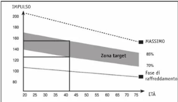 REX BX200 - Fase di allenamento - 1