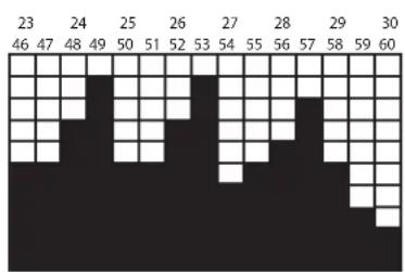 LeMond Fitness GFORCE UT - Fat Burner Plus: - 2