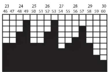 LeMond Fitness GFORCE UT - Fat Burner Plus (quemador de grasa plus): - 2