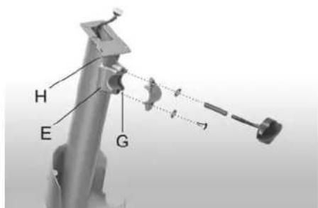 Batavus C3 - GUIDON - 2