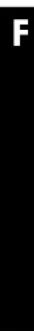 Solis Foamer 826 - Préparation - 1
