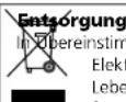 Solis Foamer 826 - Bewahren Sie diese Anleitungen sorgfältig auf. - 1
