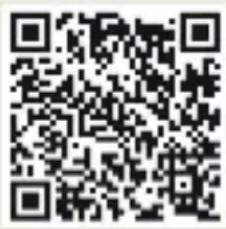 Löffler FIGO FG20 - ERGONOMISCH RICTIG SITZEN - 1