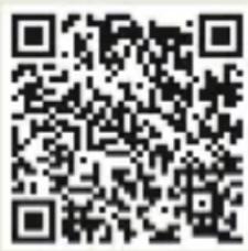 Löffler FIGO FG19 - Réglage de l'appui-lordose - 1