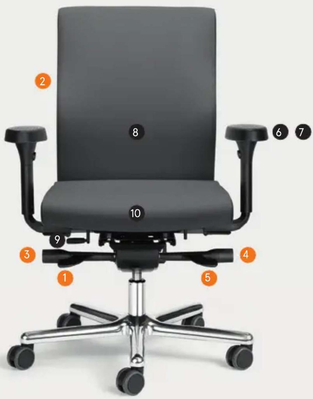 Löffler CYMO CY15 - 1