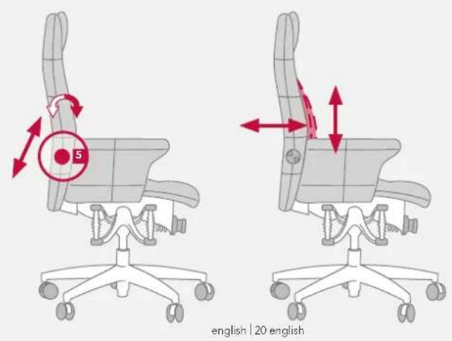 Bioswing 780 iQ S - Individually Adapted Back Pressure - 1