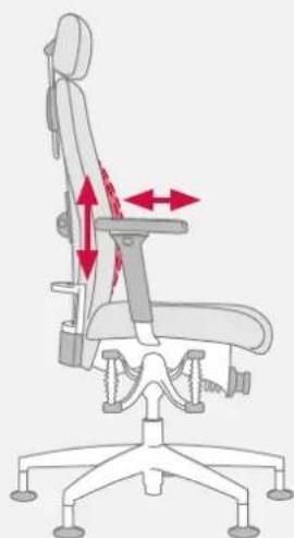 Bioswing 660 iQ S Meeting - Adjustment of Lumbar Support to Height - 4