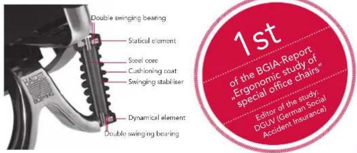 Bioswing 660 iQ E Visitor - Congratulations on your new BIOSWING®! - 1
