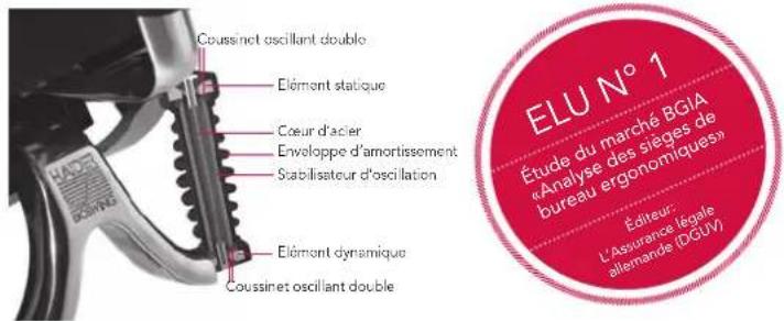 Bioswing 650 iQ S Meeting - Nos you felicitons de vue nouvelle achat de BIOSWING! - 1