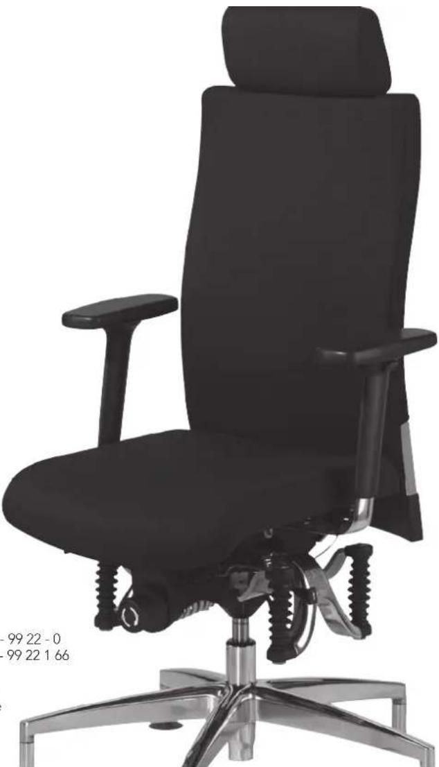 Bioswing 650 iQ S Meeting - 1