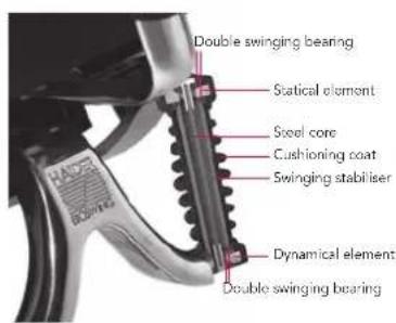 Bioswing 650 iQ E Visitor - Congratulations on your new BIOSWING®! - 1