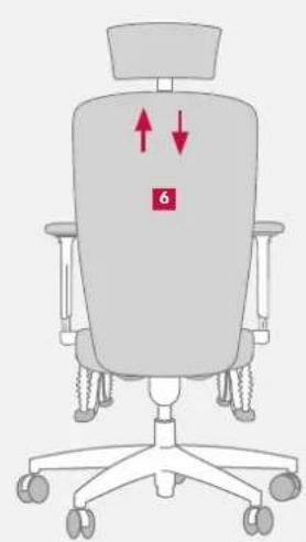 Bioswing 560 iQ S - Lumbalstütze an Rückenkontur anpassen - 1