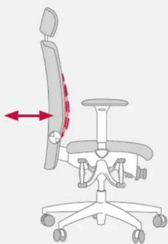 Bioswing 550 iQ S - Lumbalstütze an Rückenkontur anpassen - 4