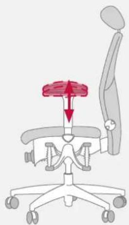 Bioswing 460 iQ S - Ajuster la manchette en largeur, profondeur et orientation - 2