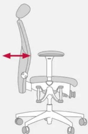 Bioswing 460 iQ S - Adapter le support lombaire à la colonne vertébrale - 4