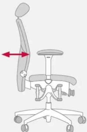 Bioswing 450 iQ S - Adjustment of Lumbar Support to Shape of Back - 4