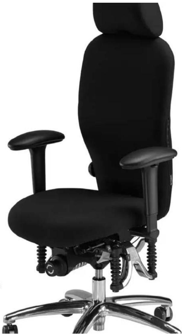 Bioswing 450 iQ S - 1