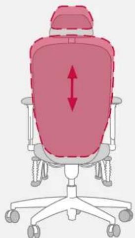 Bioswing 450 iQ S - Lumbalstütze an Rückenkontur anpassen - 2