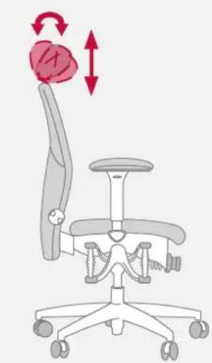 Bioswing 450 iQ S - Ajuster le repose-tete: - 3