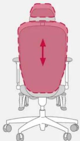 Bioswing 450 iQ S - Adapter le support lombaire à la colonne vertébrale - 2
