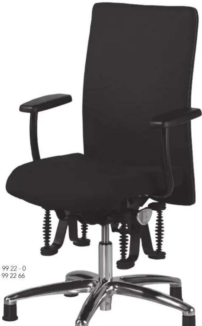 Bioswing 360 iQ E Meeting - 1