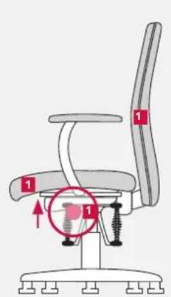 Bioswing 360 iQ E Meeting - Device for Pelvis Balance with Permanent-Contact Mechanism - 1