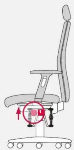 Bioswing 350 iQ S - Raising the Seat - 1