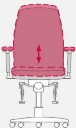 Bioswing 260 iQ V - Individually Adjusted Seat Tilt - 2