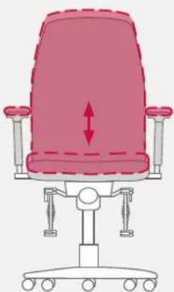 Bioswing 260 iQ V - Inclinaison de l'assise fixe - 2