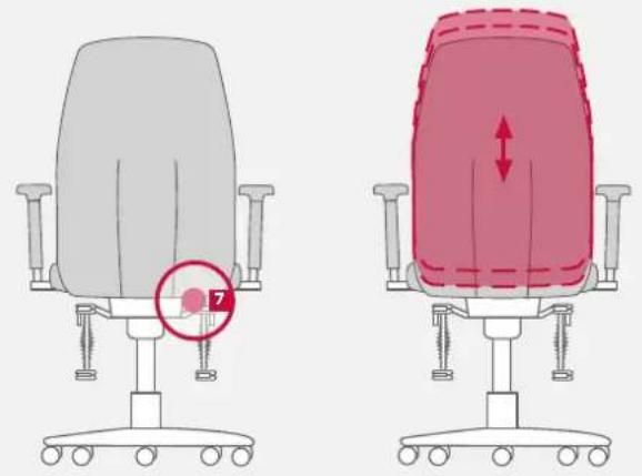 Bioswing 260 iQ V - Adjustment of Lumbar Support to Shape of Back - 1