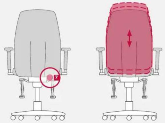 Bioswing 260 iQ V - Adapter le support lombaire à la colonne vertébrale - 1