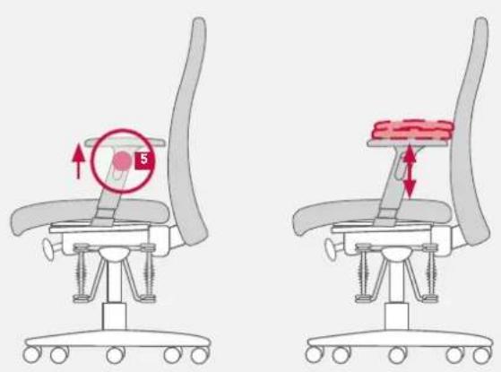 Bioswing 260 iQ V - To adjust the height of the armrest - 1