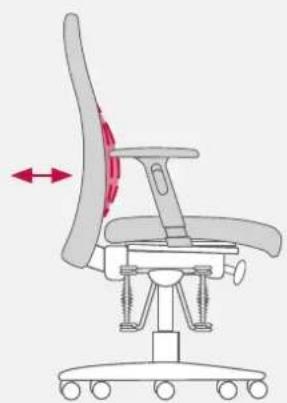 Bioswing 260 iQ V - Lumbalstütze an Rückenkontur anpassen - 3