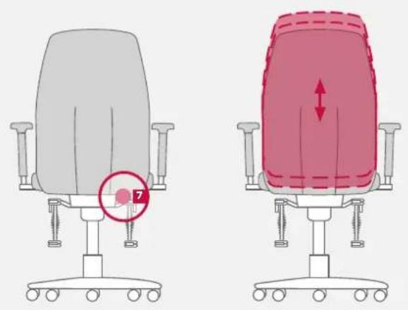 Bioswing 260 iQ V - Lumbalstütze an Rückenkontur anpassen - 1
