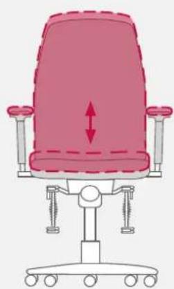 Bioswing 250 iQ V - Sitzneigung individuell anpassen - 2