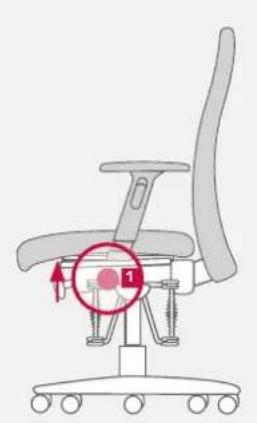 Bioswing 250 iQ V - Individually Adjusted Seat Tilt - 1