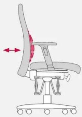 Bioswing 250 iQ V - Adjustment of Lumbar Support to Shape of Back - 4
