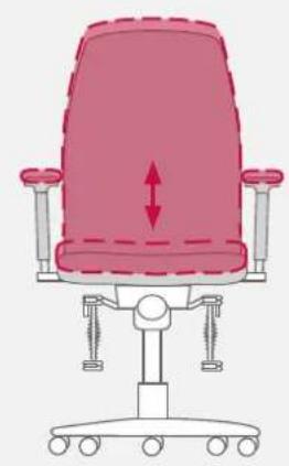 Bioswing 250 iQ V - Inclinaison de l'assise fixe - 2
