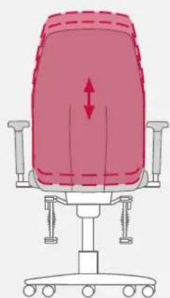 Bioswing 250 iQ V - Lumbalstütze an Rückenkontur anpassen - 2