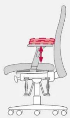 Bioswing 250 iQ V - Ajuster la manchette en largeur, profondeur et orientation - 2