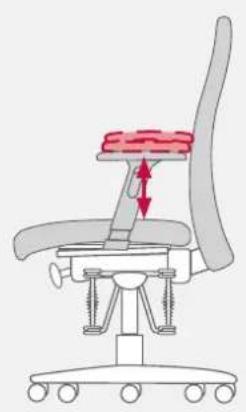 Bioswing 250 iQ V - To adjust the height of the armrest - 2