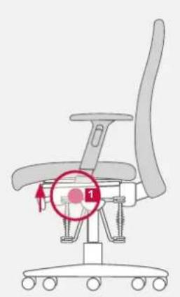 Bioswing 250 iQ V - Inclinaison de l'assise fixe - 1