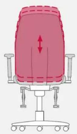 Bioswing 250 iQ V - Adjustment of Lumbar Support to Shape of Back - 2